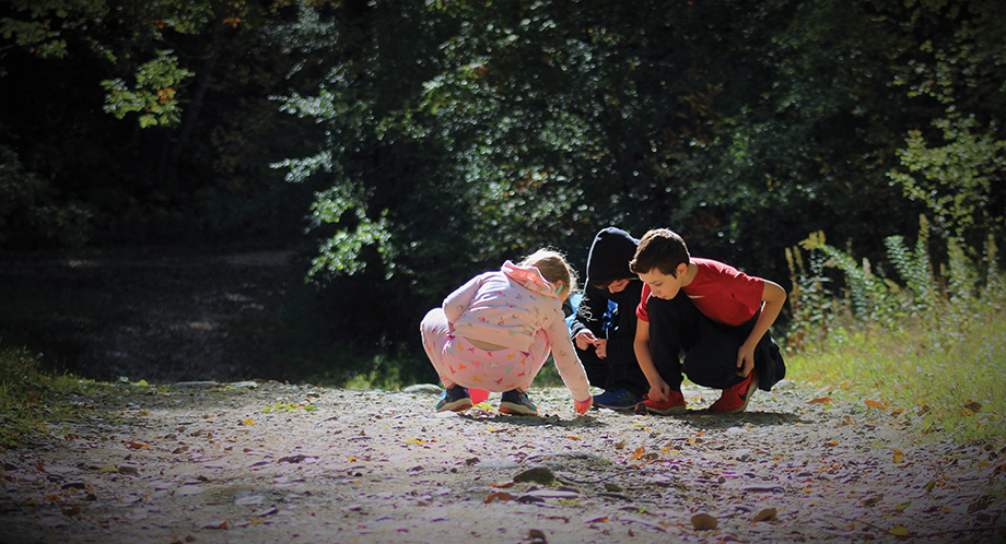 Children looking for agates at Murphy-Hanrehan Park Reserve.