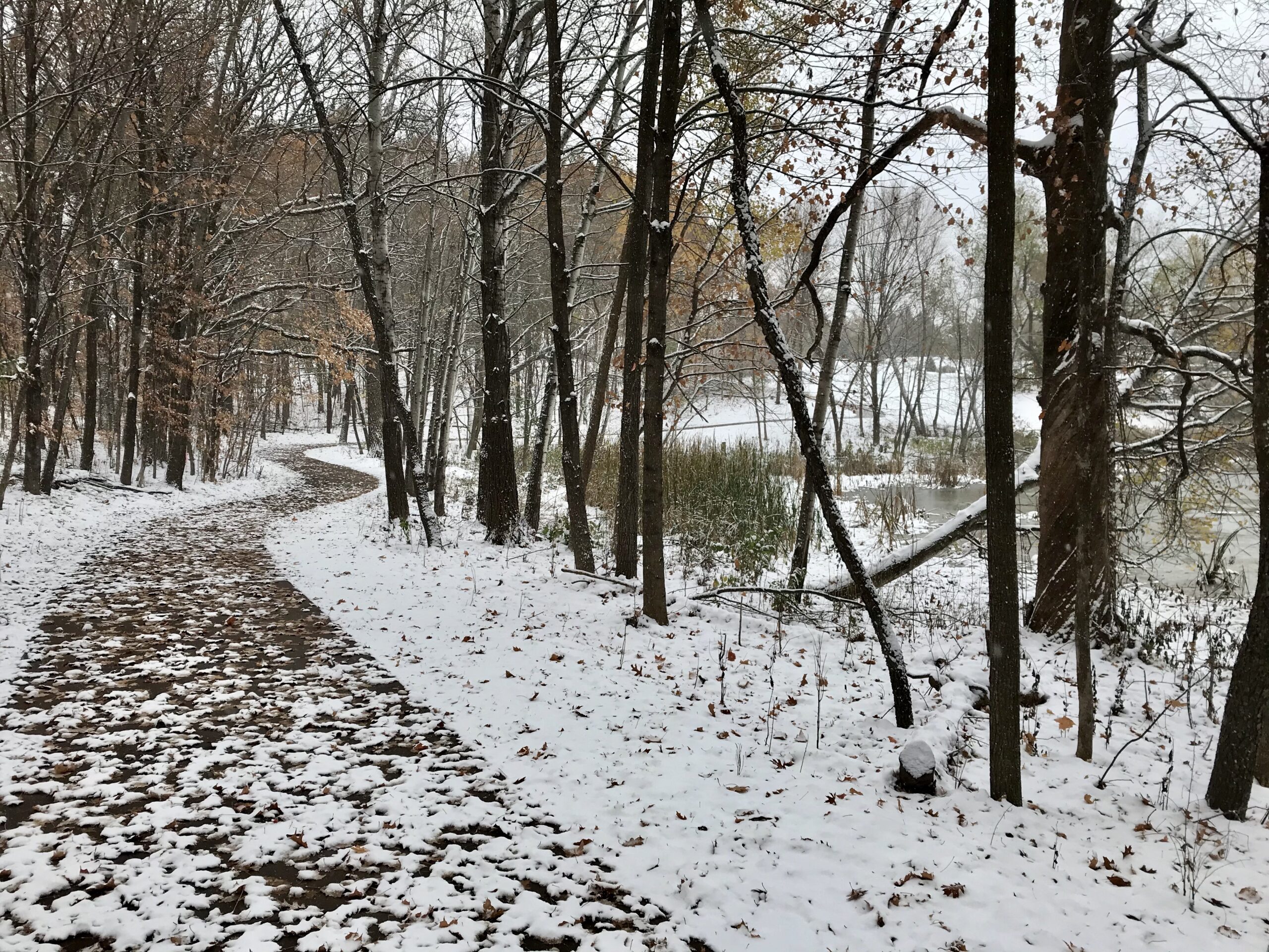 First Snowfall (Prior Lake) by Chris Knipe