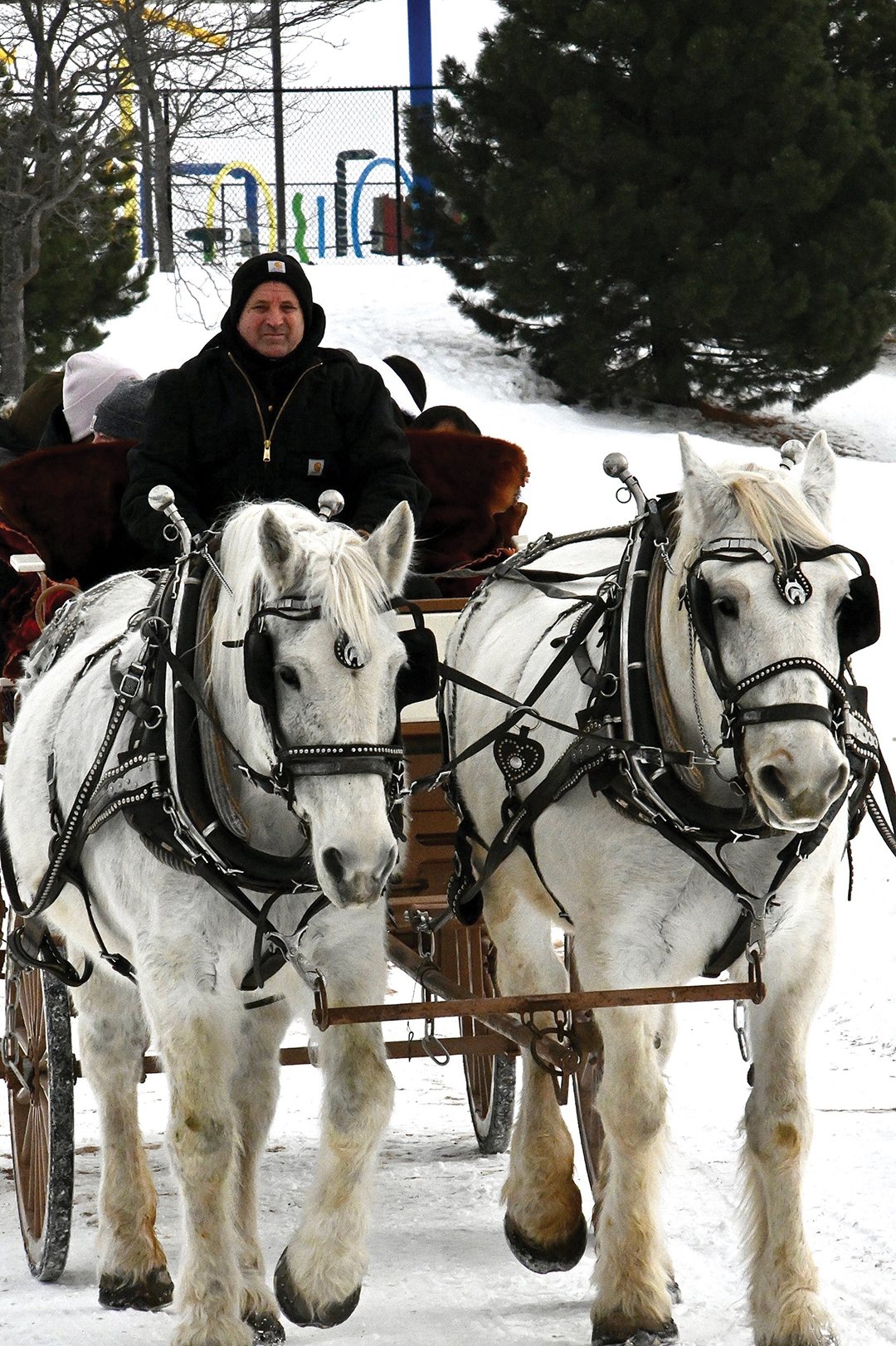 Horse Wagon Ride