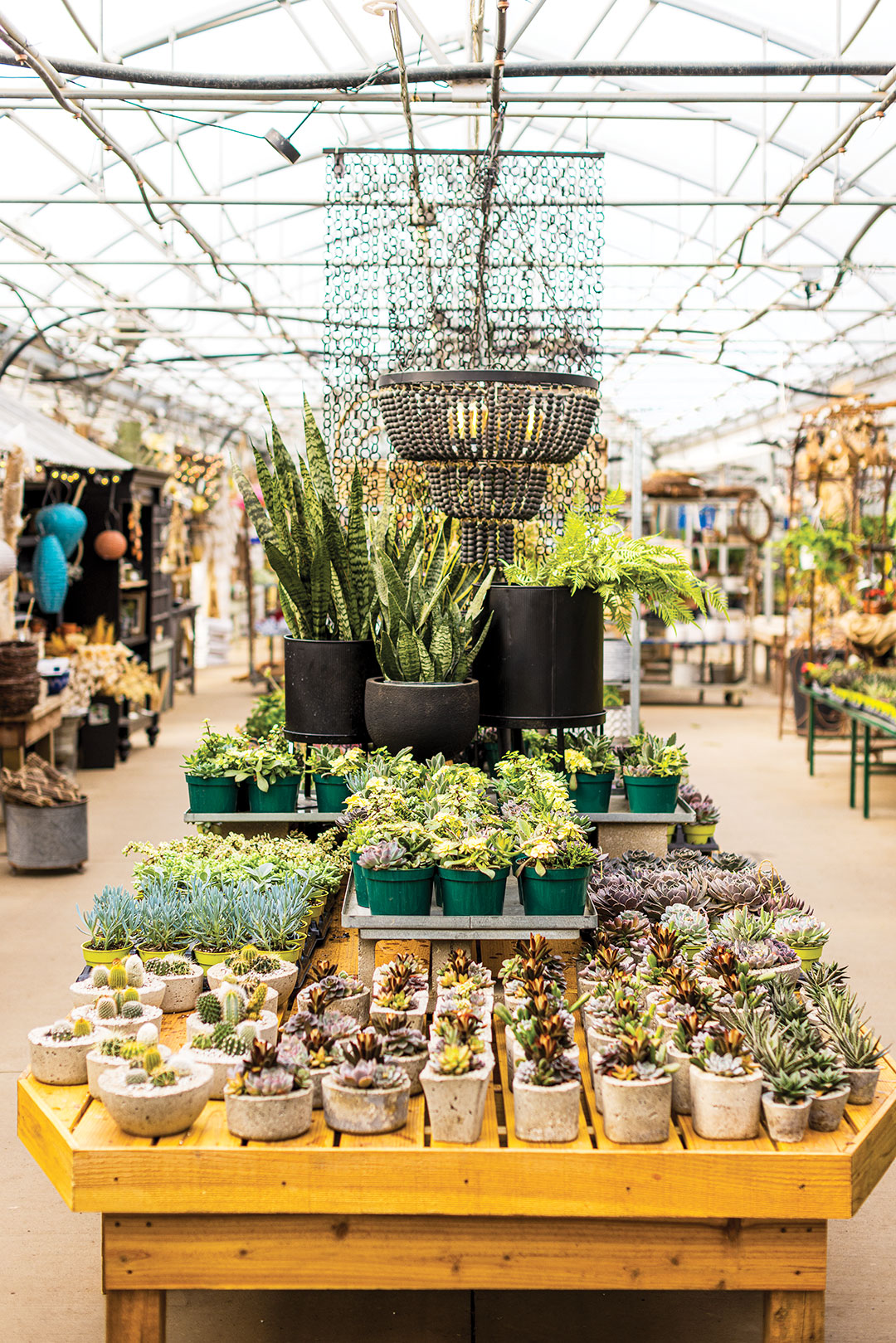 Home and garden inspiration abounds at Sailer’s Greenhouse in Prior Lake.