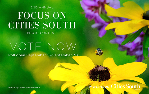 Focus on Cities South Readers' Choice Voting