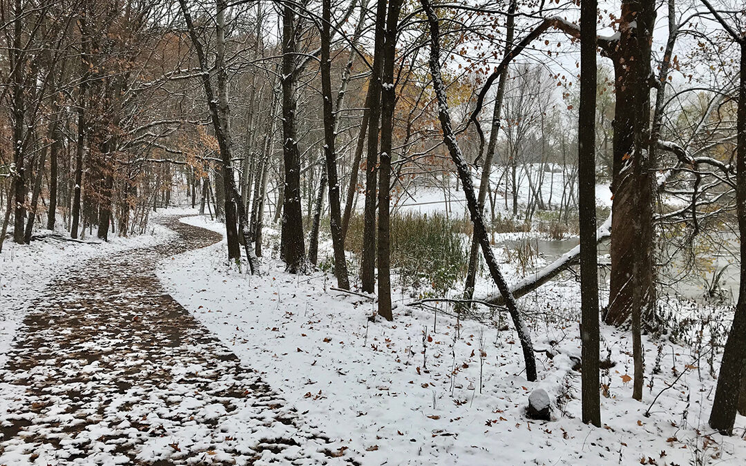 First Snowfall