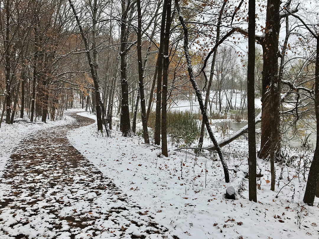 First Snowfall