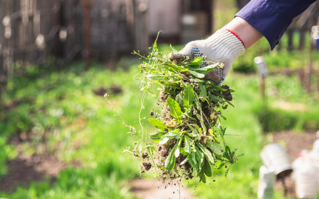 Gift for Gardeners