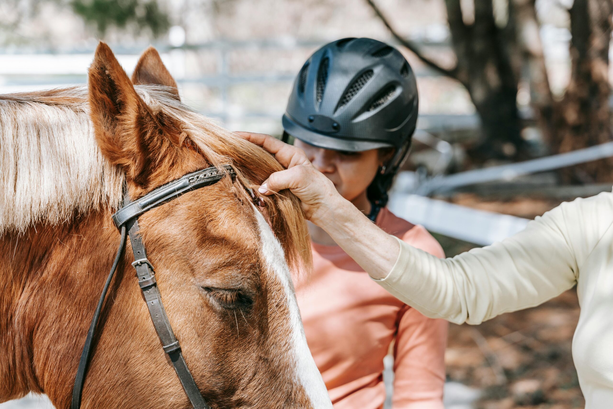 Golden Ridge Stables Summer Camp for Kids