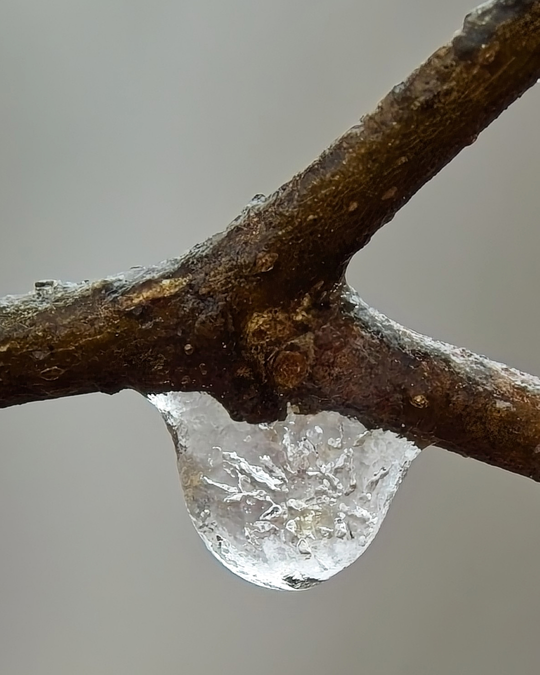 Freeze Frame