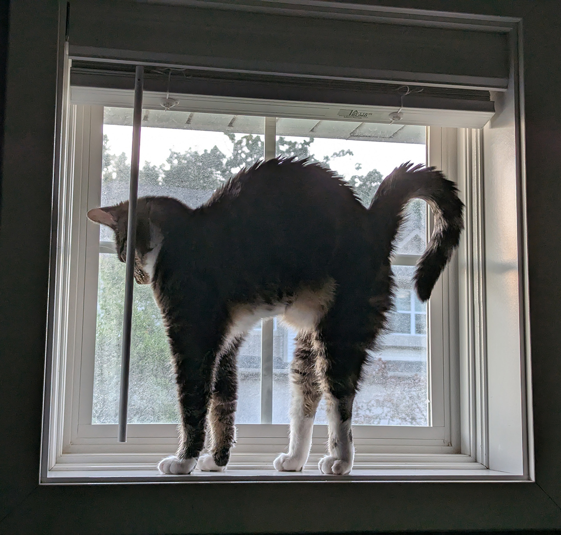 Good Stretch