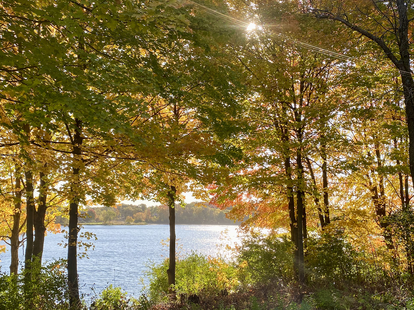 October Light