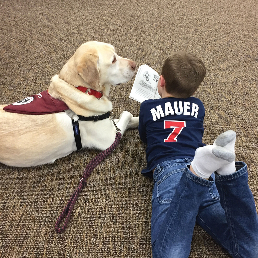 Hero, Eastview Elementary's first school resource dog, listens as a student reads aloud.