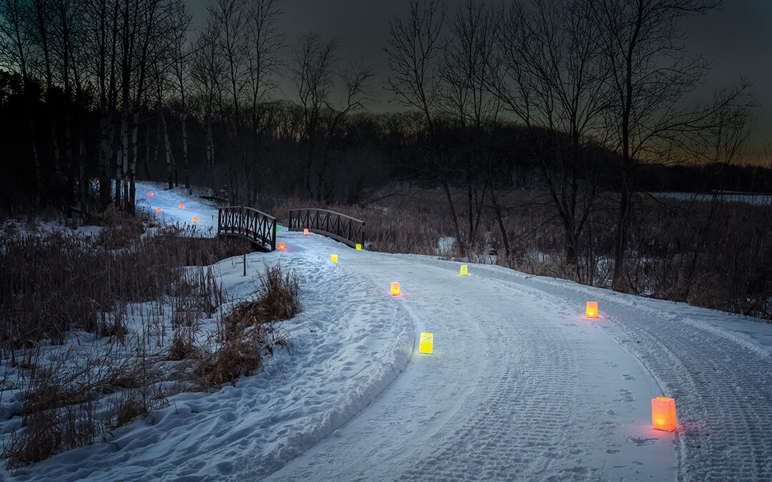 Enjoy Winter Lights at the Illumination Walk