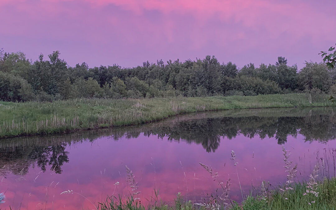 After the Rain
