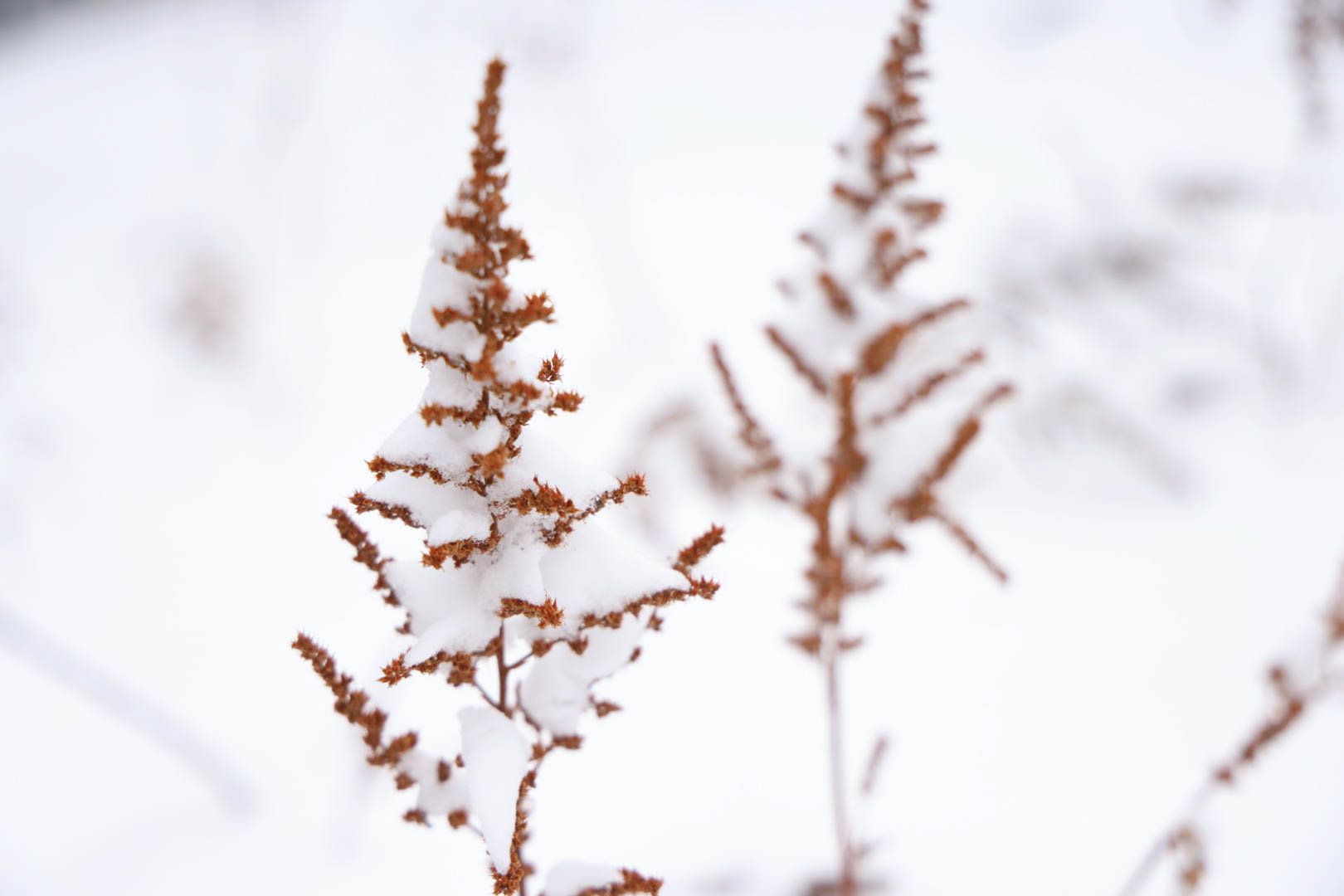 Winter Textures